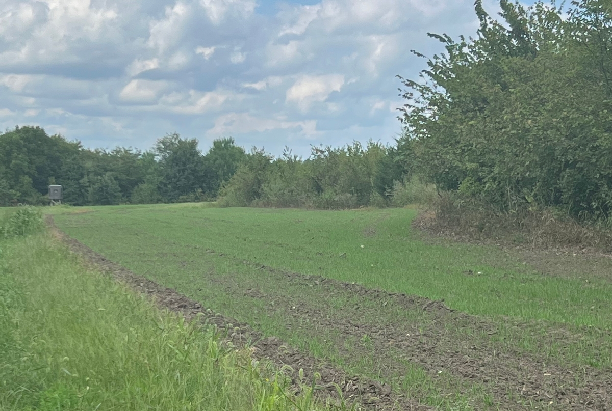 Our Missouri Location Our Missouri Location